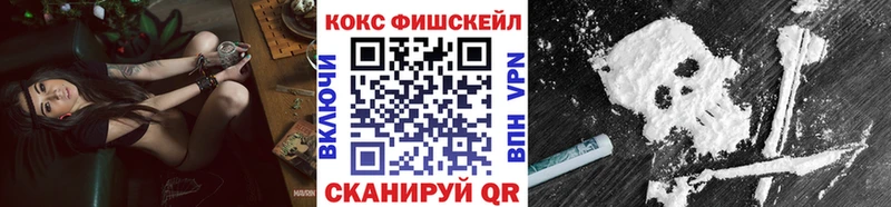 Кокаин FishScale  Купить закладки  Купино 