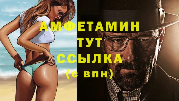 дмт Аркадак