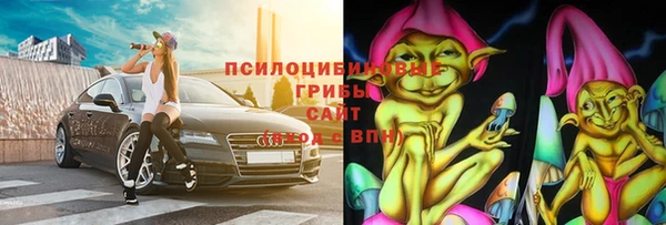 дмт Аркадак